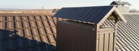 Chimney Cap Services Carrollton