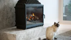Wood Burning Fireplace Repair Carrollton