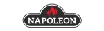 Napoleon Valor Fireplace Repair in Carrollton